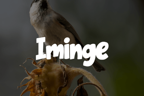 Iminge: A Font That Builds a More Polished Brand Story